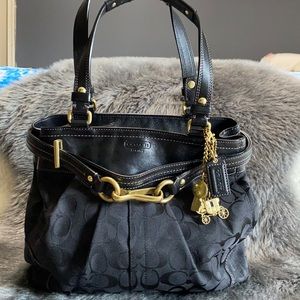 Gorgeous Coach Hampton Bag